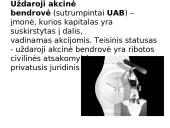 Kainodaros organizavimas UAB “Filamenta” Swatch laikrodžių įmonėje 3 puslapis