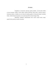 Tikrasis sakomasis žodis  9 puslapis