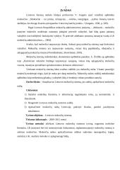 Lietuvos mokesčių sistema. Referatas 2 puslapis