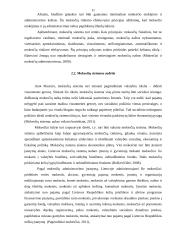 Lietuvos mokesčių sistema. Referatas 11 puslapis