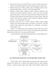 Lietuvos mokesčių sistema. Referatas 6 puslapis