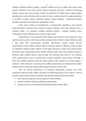 Lietuvos mokesčių sistema. Referatas 7 puslapis