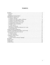 Įmonių bankrotas. Įmonių kūrimosi ir bankrotų dinamika Lietuvoje 2 puslapis