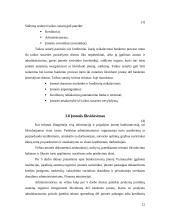 Įmonių bankrotas. Įmonių kūrimosi ir bankrotų dinamika Lietuvoje 12 puslapis