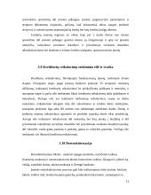 Įmonių bankrotas. Įmonių kūrimosi ir bankrotų dinamika Lietuvoje 13 puslapis