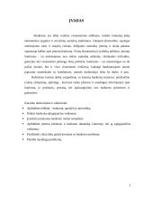 Įmonių bankrotas. Įmonių kūrimosi ir bankrotų dinamika Lietuvoje 3 puslapis