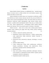 Įmonių bankrotas. Įmonių kūrimosi ir bankrotų dinamika Lietuvoje 4 puslapis