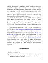 Įmonių bankrotas. Įmonių kūrimosi ir bankrotų dinamika Lietuvoje 7 puslapis