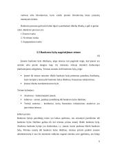 Įmonių bankrotas. Įmonių kūrimosi ir bankrotų dinamika Lietuvoje 9 puslapis