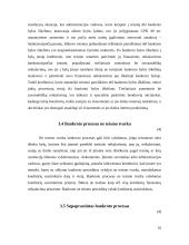 Įmonių bankrotas. Įmonių kūrimosi ir bankrotų dinamika Lietuvoje 10 puslapis