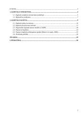 Kapitalo kaštų nustatymo būdai ir iškylančios problemos 2 puslapis