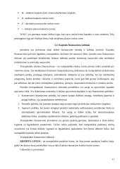 Kapitalo kaštų nustatymo būdai ir iškylančios problemos 11 puslapis