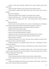 Kapitalo kaštų nustatymo būdai ir iškylančios problemos 12 puslapis