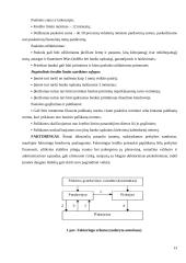 Kapitalo kaštų nustatymo būdai ir iškylančios problemos 13 puslapis