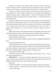 Kapitalo kaštų nustatymo būdai ir iškylančios problemos 14 puslapis