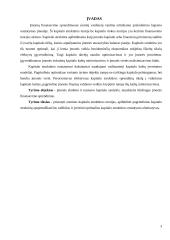 Kapitalo kaštų nustatymo būdai ir iškylančios problemos 3 puslapis