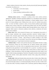 Kapitalo kaštų nustatymo būdai ir iškylančios problemos 7 puslapis