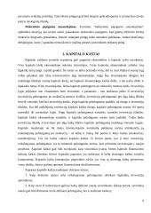 Kapitalo kaštų nustatymo būdai ir iškylančios problemos 9 puslapis