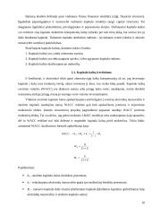 Kapitalo kaštų nustatymo būdai ir iškylančios problemos 10 puslapis