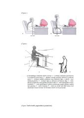 Darbo zonos ir darbo vietos ergonomika 11 puslapis