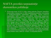 Šiaurės Amerikos laisvosios prekybos sutartis (NAFTA) 6 puslapis
