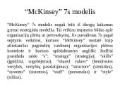 “McKinsey” 7s modelis 2 puslapis
