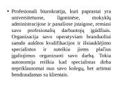 “McKinsey” 7s modelis 11 puslapis