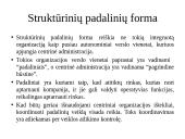 “McKinsey” 7s modelis 12 puslapis