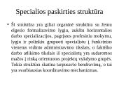 “McKinsey” 7s modelis 13 puslapis