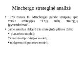 “McKinsey” 7s modelis 14 puslapis