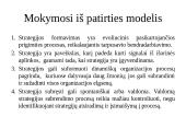 “McKinsey” 7s modelis 17 puslapis