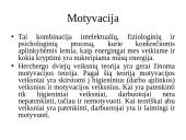 “McKinsey” 7s modelis 18 puslapis