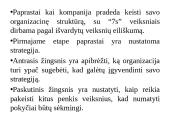 “McKinsey” 7s modelis 3 puslapis