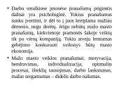 “McKinsey” 7s modelis 5 puslapis