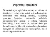 “McKinsey” 7s modelis 8 puslapis