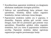 “McKinsey” 7s modelis 9 puslapis