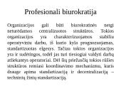 “McKinsey” 7s modelis 10 puslapis