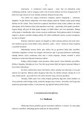 Australijos gyvūnai 13 puslapis