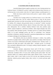 Australijos gyvūnai 5 puslapis