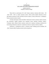 AB „Alita“ balanso ataskaitos analizė 2 puslapis