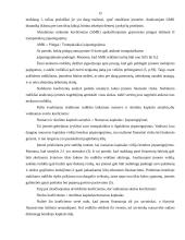 AB „Alita“ balanso ataskaitos analizė 12 puslapis