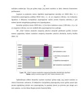AB „Alita“ balanso ataskaitos analizė 16 puslapis