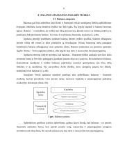 AB „Alita“ balanso ataskaitos analizė 6 puslapis