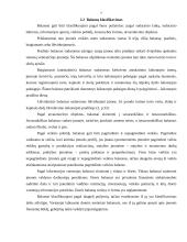 AB „Alita“ balanso ataskaitos analizė 7 puslapis