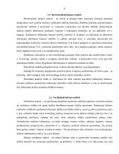 AB „Alita“ balanso ataskaitos analizė 9 puslapis