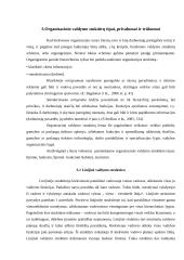 Organizacinių valdymo struktūrų privalumai ir trūkumai 6 puslapis