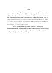 Transporto priemonių nuoma teikiant vairavimo ir techninės priežiūros paslaugas 3 puslapis