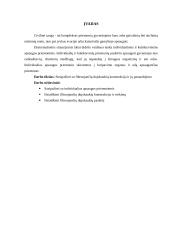 Filtruojanti dujokaukė 2 puslapis