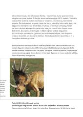 Gyvybės šaltinis 11 puslapis