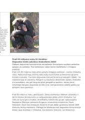 Gyvybės šaltinis 13 puslapis